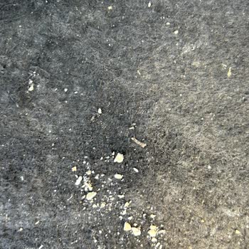 Vale Ücreti Gizlice Alındı Ve Araç İçinde Hijyen İhlali