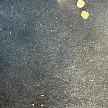 Vale Ücreti Gizlice Alındı Ve Araç İçinde Hijyen İhlali