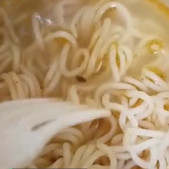 Dudomi Noodle İçindeki Sinek