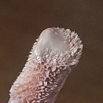 Gardrops’ta Sahte Rare Beauty Ürünü İadesi Reddedildi Ve Para Bloke Edildi