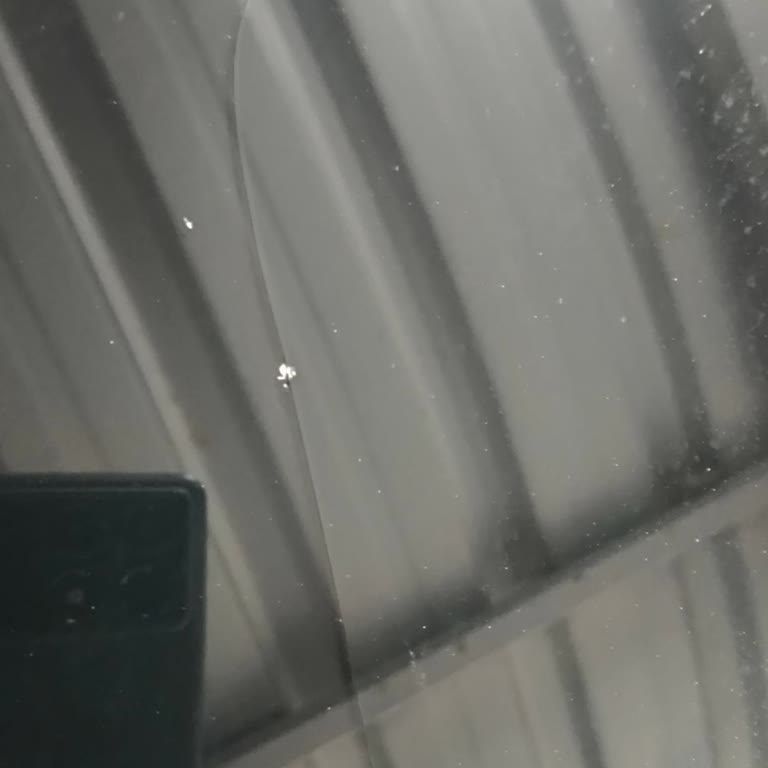 Renault Austral Cam Tavan Çatlaması Ve Garanti Reddi