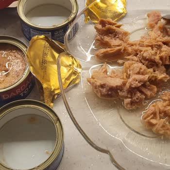Tuna Konservelerinde Yabancı Cisim Ve Keskin Koku Sağlık Endişesi Ve İade Talebi