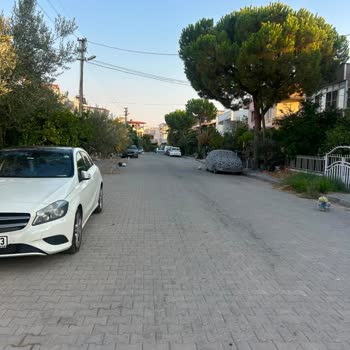 Dikili Cumhuriyet Mahallesi 320. Sokakta Çöp Toplanmaması Kötü Koku Ve Sağlık Riski