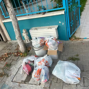 Dikili Cumhuriyet Mahallesi 320. Sokakta Çöp Toplanmaması Kötü Koku Ve Sağlık Riski