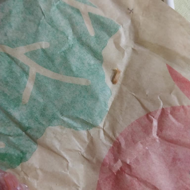 Burgerde Kemik Çıktı Ve Müşteri Hizmetleri İlgisiz Davrandı