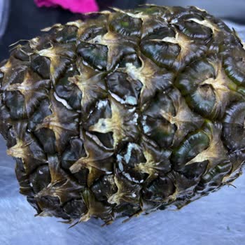 Bozuk Ananas İçin İade Talebi Ve Migros'tan Açıklama Bekliyor