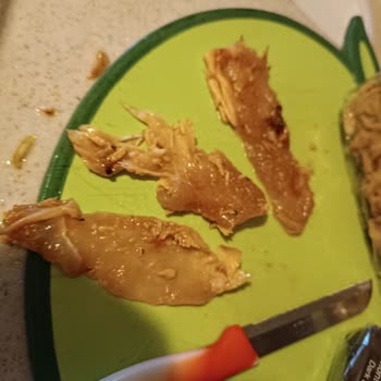Çiğ Tavuk Parçaları İçeren Döner Ürünün Hijyen Ve Sağlık Riski