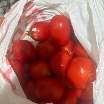 Çürük Domates Teslimatı İçin Hızlı İade Talebi