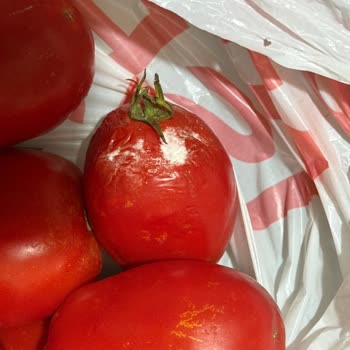 Çürük Domates Teslimatı İçin Hızlı İade Talebi