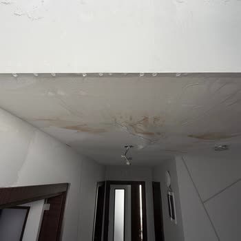 Kazan Değişiminde Gecikme Ve Su Sızıntısı Nedeniyle Ev Zarar Görmesi