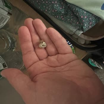 Şok Market’te Satın Alınan Kuruyemişte Sigara İzmariti Kokusu Ve Çözüm Yok