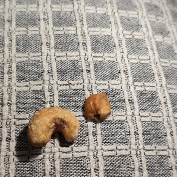 Güvelenmiş Çerez Satışı Hijyen Ve Sağlık Sorunu