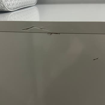 Öz Kurtlar Nakliyat Sorumluluktan Kaçarak Bizi Mağdur Ettiler