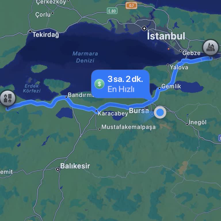 Efetur Şoförünün Dikkatsizliği Ve Kaba Tutumu Nedeniyle Yaşadığım Büyük Maddi Ve Zaman Kayıpları