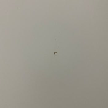 Hasarlı Gardırop Teslimatı Ve Yanlış Kurulum, Tam Değişim Talebi