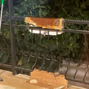Urla Gülbahçe Mahallesi'nde Yoğun Fare Sorunu İçin Acil İlaçlama Talebi