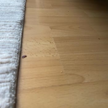 Saç Ve Kılları Toplayan Robot Süpürge Değişim Talebi