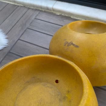Kullanılmış Ve Kirli Köpek Su Kabı Gönderildi, Yanıltıcı Kargo Bilgisi