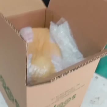 Sürat Kargo’da Oyun Konsolu Kayıp, Çözüm Süreci Uzun Ve Cevapsız