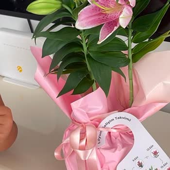 Çiçek Sepeti Lilyum Çiçeği Teslim Sonrası Hemen Soldu, Tam İade Veya Yeni Çiçek Talebi