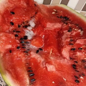 Bozuk Karpuz Ve Sağlık Riski: İade Ve İletişim Eksikliği