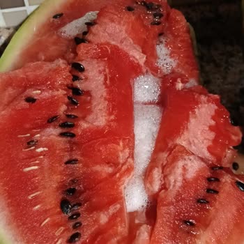 Bozuk Karpuz Ve Sağlık Riski: İade Ve İletişim Eksikliği