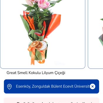 Taze Çiçek’te Aynı Gün Çiçek Teslimatı Gerçekleşmedi Ve Müşteri Hayal Kırıklığı Yaşadı