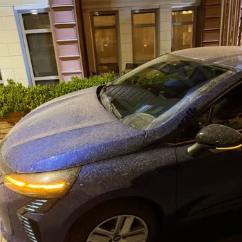 Alamo Rent A Car Downgrades Customer Reservation and Hands Over Filthy Vehicle