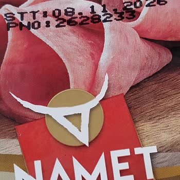 Namet Dana Macar Salamda Tüy/Kıl Benzeri Yabancı Cisim Keşfedildi