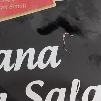 Namet Dana Macar Salamda Tüy/Kıl Benzeri Yabancı Cisim Keşfedildi