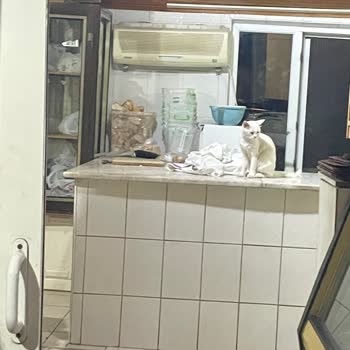 Denizli Tepe Camping Ne Misafirperverlik Ne De Müşteri Memnuniyeti Anlamında İyi Niyet Görmedik
