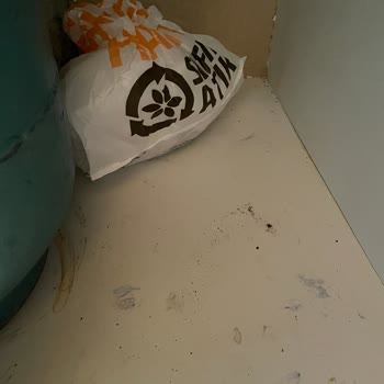 Villa Sepeti’nin Hijyen Ve Yanıltıcı Konum Bilgileri Nedeniyle Yaşanan Mağduriyet