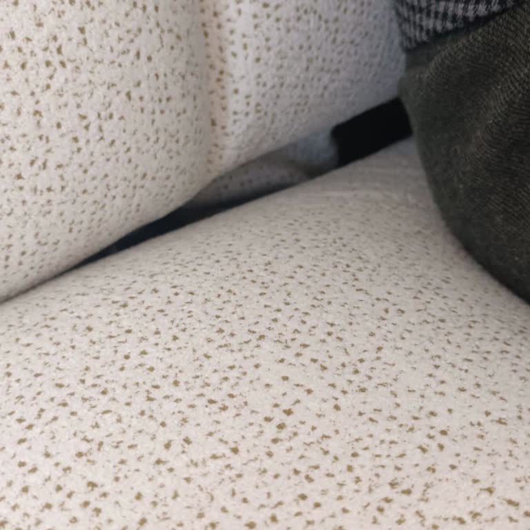 Koltuk Tamirinde Uzun Bekleme Ve Cevapsız Müşteri Hizmetleri