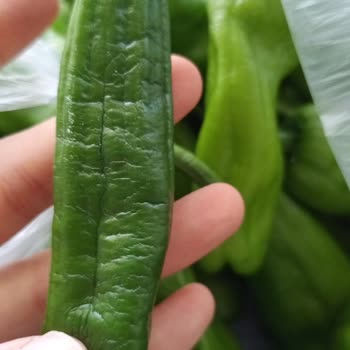Migros Sanal Market’ten Bozuk Mısır Ve Solmuş Biber Şikayeti