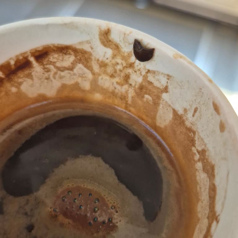 Kahve İçinde Yabancı Parça Ve Telafi Talebi