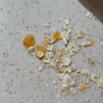 Ürün İçindeki Plastik Parçalar Sağlık Riskine Yol Açtı