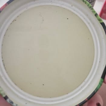 Turşu Kavanozunun Kapağındaki Kirli Ve Küflenme Şüphesi BİM Hijyenine Güven Sarsıldı