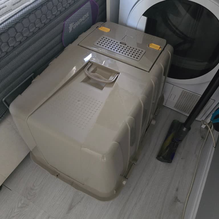 Petpal Kırık Bir Kedi Tuvaletiyle Uğraşıyorum