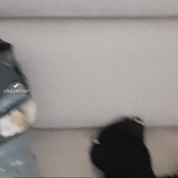 Lizbutik.com Elbiseler Küçük