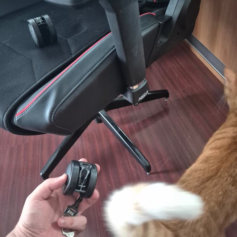Xdrive Anka Deri Koltuk Tekerlekleri Aniden Kırıldı, Güvenlik Tehlikesi