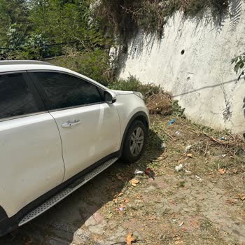 Çim Biçme Çalışması Sırasında Camım Kırıldı, Belediye Masrafları Karşılamıyor