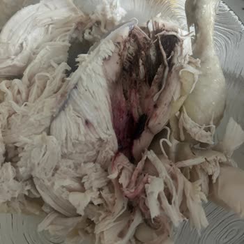 BİM Tazem Tavukta Kan Pıhtısı Ve Mağaza İlgisizliği