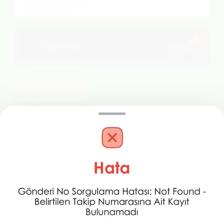 Siparişim Kargo Bekliyor, Takip Numarası Hatalı