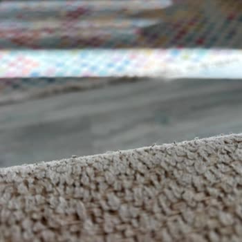 Koltuk Takımında Tüylenme Ve Servis İlgisizliği Şikayetim
