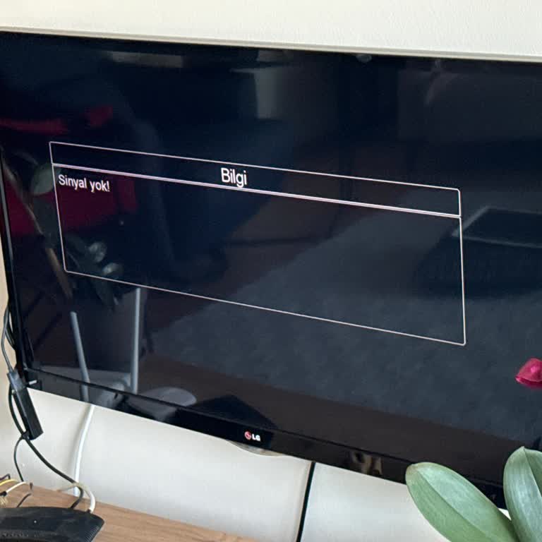 Pendik’te Kablo TV Sinyal Kesintisi Ve Cevapsız Müşteri Hizmetleri