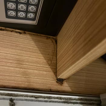Tatilbudur’un Yanıltıcı Otel Temizliği Bilgisi