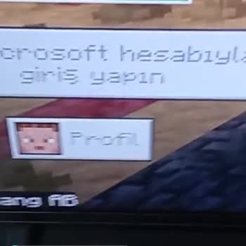 Minecraft.net Hata Kodu 13