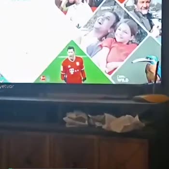 Samsung TV Tivibu Go'ya Girmiyor