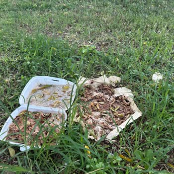 Park Ve Bahçeler Müdürlüğü Şikayeti