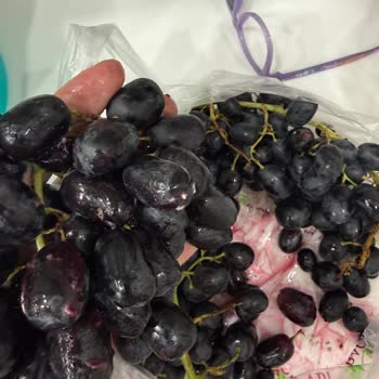 Migros Şubesinde Satın Aldığım Meyveler Çürük Çıktı Ve Güvenim Sarsıldı